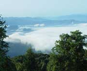 屏山明天天气